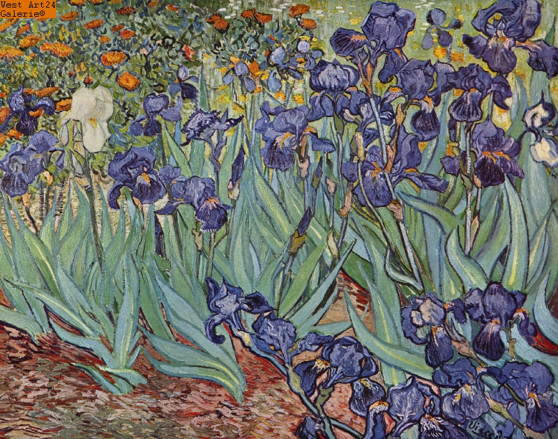 Schwertlilien nach van Gogh Gemäldeimitation